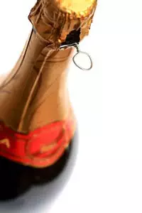 Larmandier-Bernier Terre de Vertus Premier Cru Champagne France NV